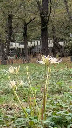 平野神社(京都府)