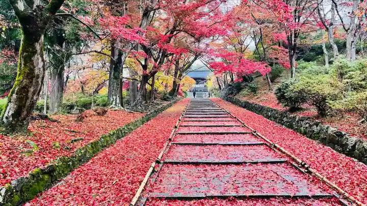 毘沙門堂門跡のその他建物