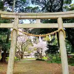 曽許乃御立神社の鳥居