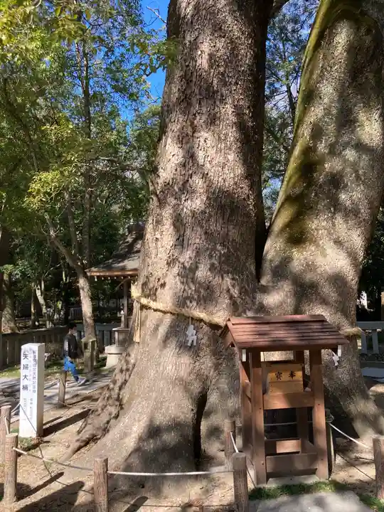 伊弉諾神宮の自然