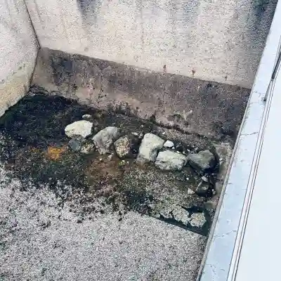 柴田神社(福井県)