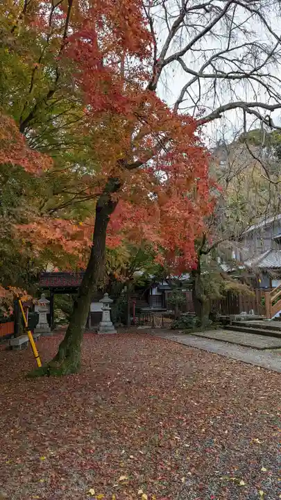 松ヶ崎大黒天 妙圓寺(妙円寺)(京都府)