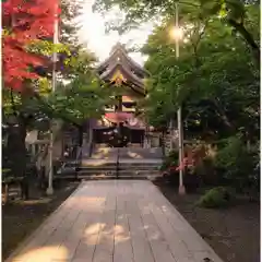 彌彦神社　(伊夜日子神社)(北海道)