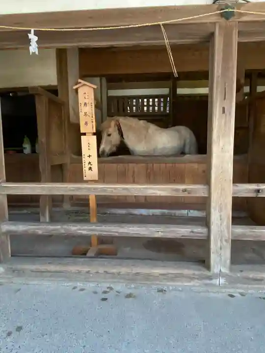 金刀比羅宮(香川県)