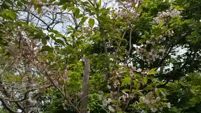 北門神社(北海道)
