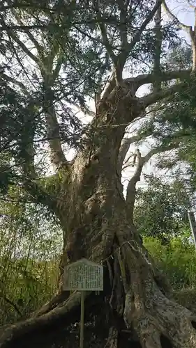 日高見神社の自然