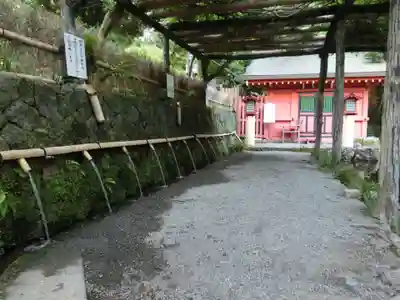 富士山本宮浅間大社の手水舎