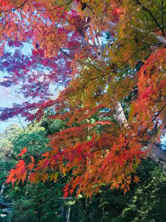 熊野本宮大社の自然