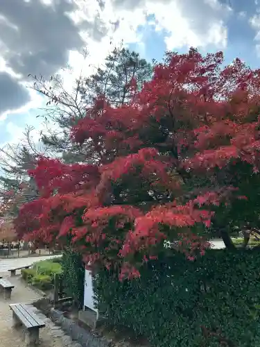 法隆寺の{uncategorized: "未分類", other: "その他", undefined: "問題あり", building: "その他建物", grave: "お墓", sacred_gate: "鳥居", guardian: "狛犬", statue: "像", buddha: "仏像", history: "歴史", nature: "自然", garden: "庭園", animal: "動物", pagoda: "塔", temizu: "手水舎", mountain_gate: "山門・神門", sanctuary: "本殿・本堂", subordinate: "末社・摂社", art: "芸術", scenery: "景色", jizo: "地蔵", ema: "絵馬", goshuin: "御朱印", omikuji: "おみくじ", items: "授与品その他", amulet: "お守り", goshuincho: "御朱印帳", eats: "食事", festival: "お祭り", votive_dance: "神楽", shichigosan: "七五三参", wedding: "結婚式", experience: "体験その他", initially: "初詣", around: "周辺", anti_infection: "感染症対策"}
