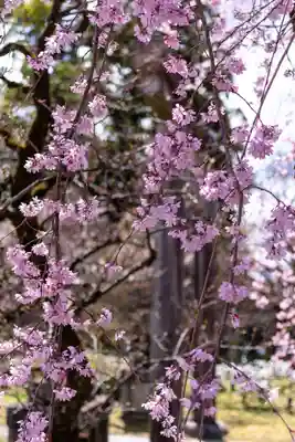 北野天満宮(京都府)