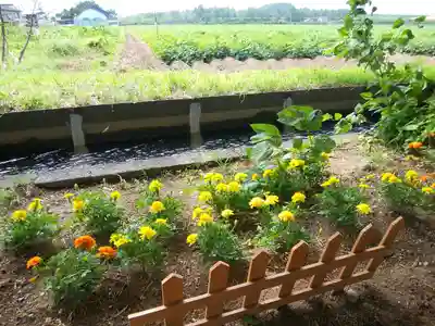 倶知安神社(北海道)