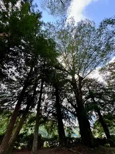 天引八幡神社(京都府)