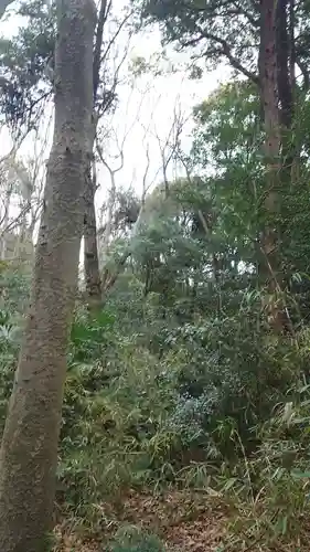 明治神宮の周辺