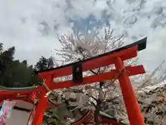 金櫻神社(山梨県)