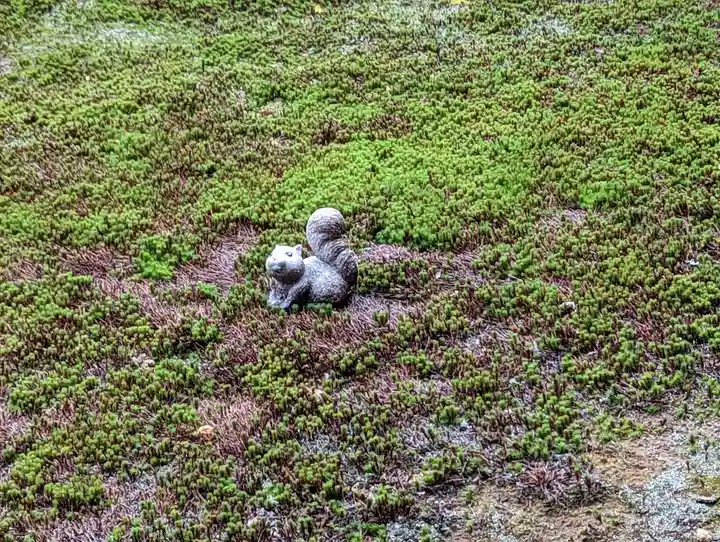 聖護院門跡(京都府)