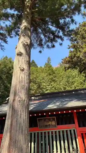 鎮神社の{uncategorized: "未分類", other: "その他", undefined: "問題あり", building: "その他建物", grave: "お墓", sacred_gate: "鳥居", guardian: "狛犬", statue: "像", buddha: "仏像", history: "歴史", nature: "自然", garden: "庭園", animal: "動物", pagoda: "塔", temizu: "手水舎", mountain_gate: "山門・神門", sanctuary: "本殿・本堂", subordinate: "末社・摂社", art: "芸術", scenery: "景色", jizo: "地蔵", ema: "絵馬", goshuin: "御朱印", omikuji: "おみくじ", items: "授与品その他", amulet: "お守り", goshuincho: "御朱印帳", eats: "食事", festival: "お祭り", votive_dance: "神楽", shichigosan: "七五三参", wedding: "結婚式", experience: "体験その他", initially: "初詣", around: "周辺", anti_infection: "感染症対策"}