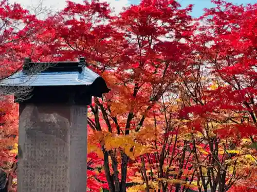 土津神社｜こどもと出世の神さまの自然