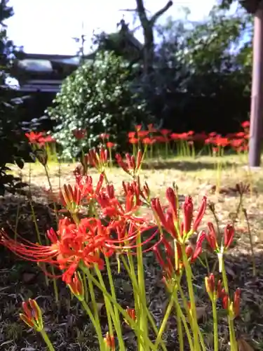 福蔵院(東京都)