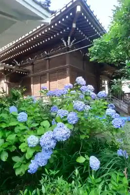 白山神社の本殿・本堂