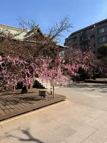 桜神宮の{uncategorized: "未分類", other: "その他", undefined: "問題あり", building: "その他建物", grave: "お墓", sacred_gate: "鳥居", guardian: "狛犬", statue: "像", buddha: "仏像", history: "歴史", nature: "自然", garden: "庭園", animal: "動物", pagoda: "塔", temizu: "手水舎", mountain_gate: "山門・神門", sanctuary: "本殿・本堂", subordinate: "末社・摂社", art: "芸術", scenery: "景色", jizo: "地蔵", ema: "絵馬", goshuin: "御朱印", omikuji: "おみくじ", items: "授与品その他", amulet: "お守り", goshuincho: "御朱印帳", eats: "食事", festival: "お祭り", votive_dance: "神楽", shichigosan: "七五三参", wedding: "結婚式", experience: "体験その他", initially: "初詣", around: "周辺", anti_infection: "感染症対策"}