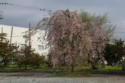 空知神社の周辺