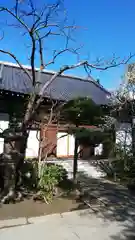 海禅寺の本殿