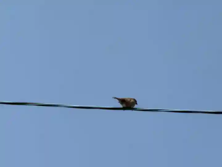 西方山極楽寺(岐阜県)