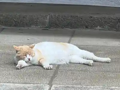 雀神社(茨城県)