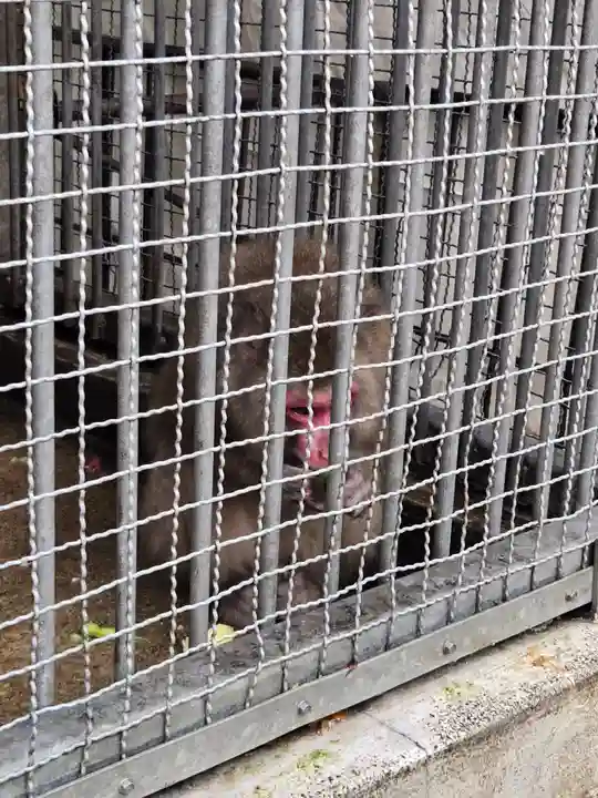 日吉大社(滋賀県)