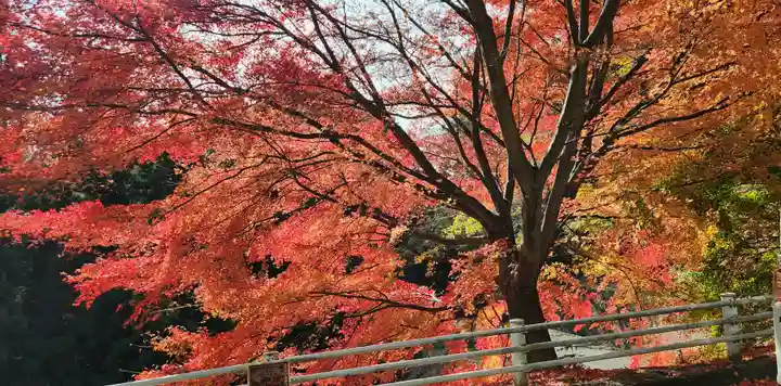 木幡山隠津島神社(二本松市)の周辺