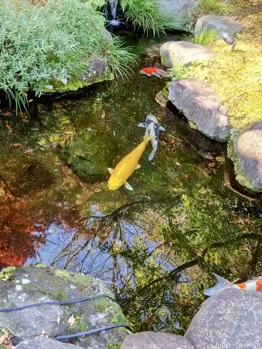 長谷寺(神奈川県)