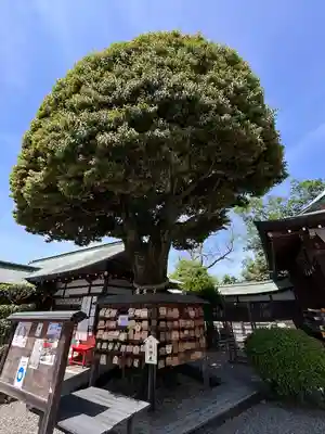 足利織姫神社(栃木県)