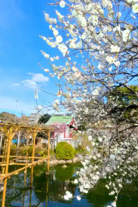 亀戸天神社(東京都)