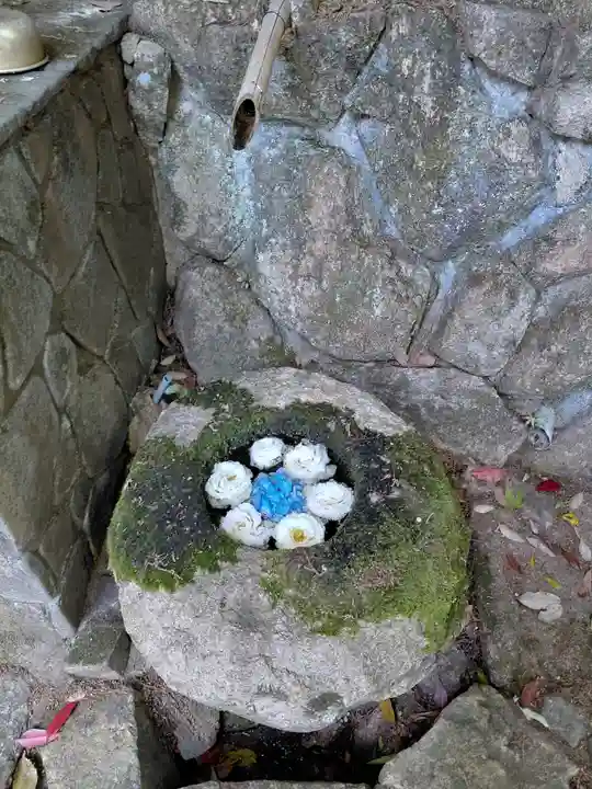 柳谷観音 楊谷寺(京都府)