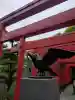 田村神社(香川県)