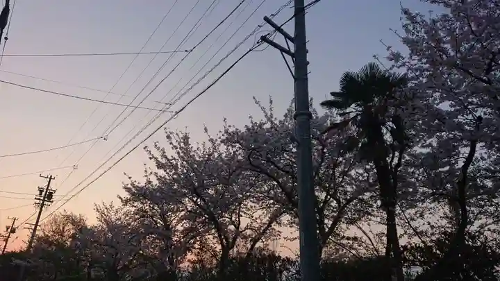 尾張大國霊神社(国府宮)の自然