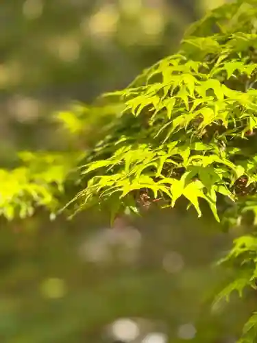 伊勢の国 四天王寺(三重県)