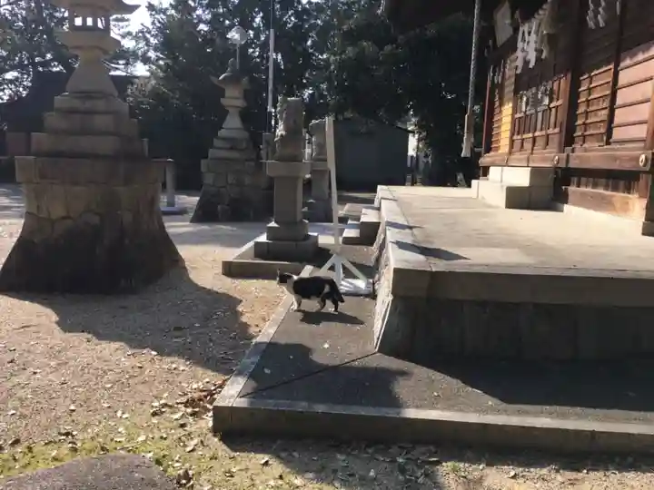 八幡社の動物