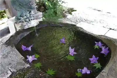 鹿島大神宮の手水舎