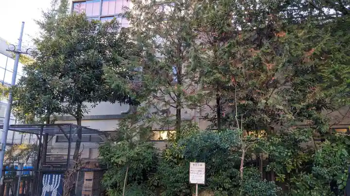 高知大神宮の自然