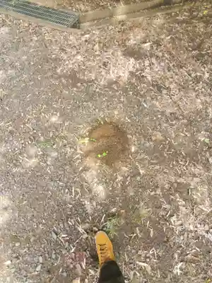 千手院(茨城県)