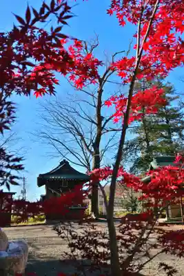 美和神社(群馬県)