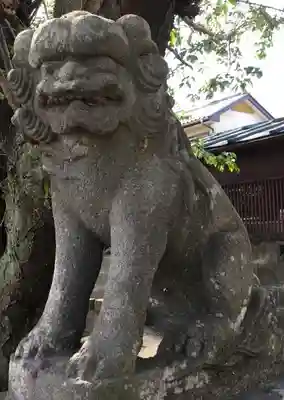 前玉神社の狛犬