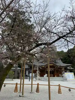 伊和志津神社(兵庫県)