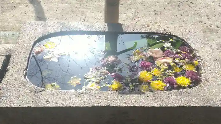 今村宮の手水舎