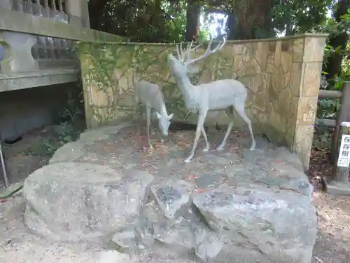 志賀海神社の狛犬