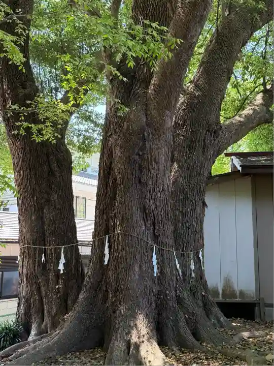 弘道館鹿島神社(茨城県)