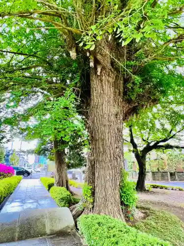 星谷寺の{uncategorized: "未分類", other: "その他", undefined: "問題あり", building: "その他建物", grave: "お墓", sacred_gate: "鳥居", guardian: "狛犬", statue: "像", buddha: "仏像", history: "歴史", nature: "自然", garden: "庭園", animal: "動物", pagoda: "塔", temizu: "手水舎", mountain_gate: "山門・神門", sanctuary: "本殿・本堂", subordinate: "末社・摂社", art: "芸術", scenery: "景色", jizo: "地蔵", ema: "絵馬", goshuin: "御朱印", omikuji: "おみくじ", items: "授与品その他", amulet: "お守り", goshuincho: "御朱印帳", eats: "食事", festival: "お祭り", votive_dance: "神楽", shichigosan: "七五三参", wedding: "結婚式", experience: "体験その他", initially: "初詣", around: "周辺", anti_infection: "感染症対策"}