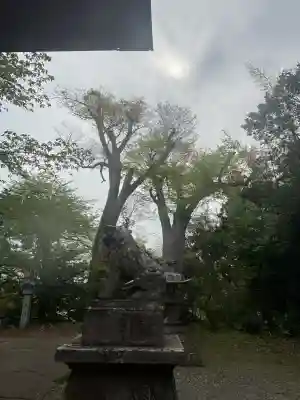 八幡神社(福島県)