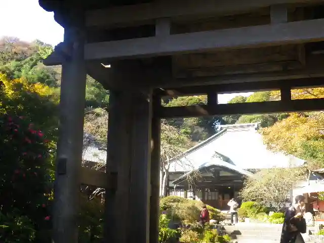 海蔵寺の山門・神門